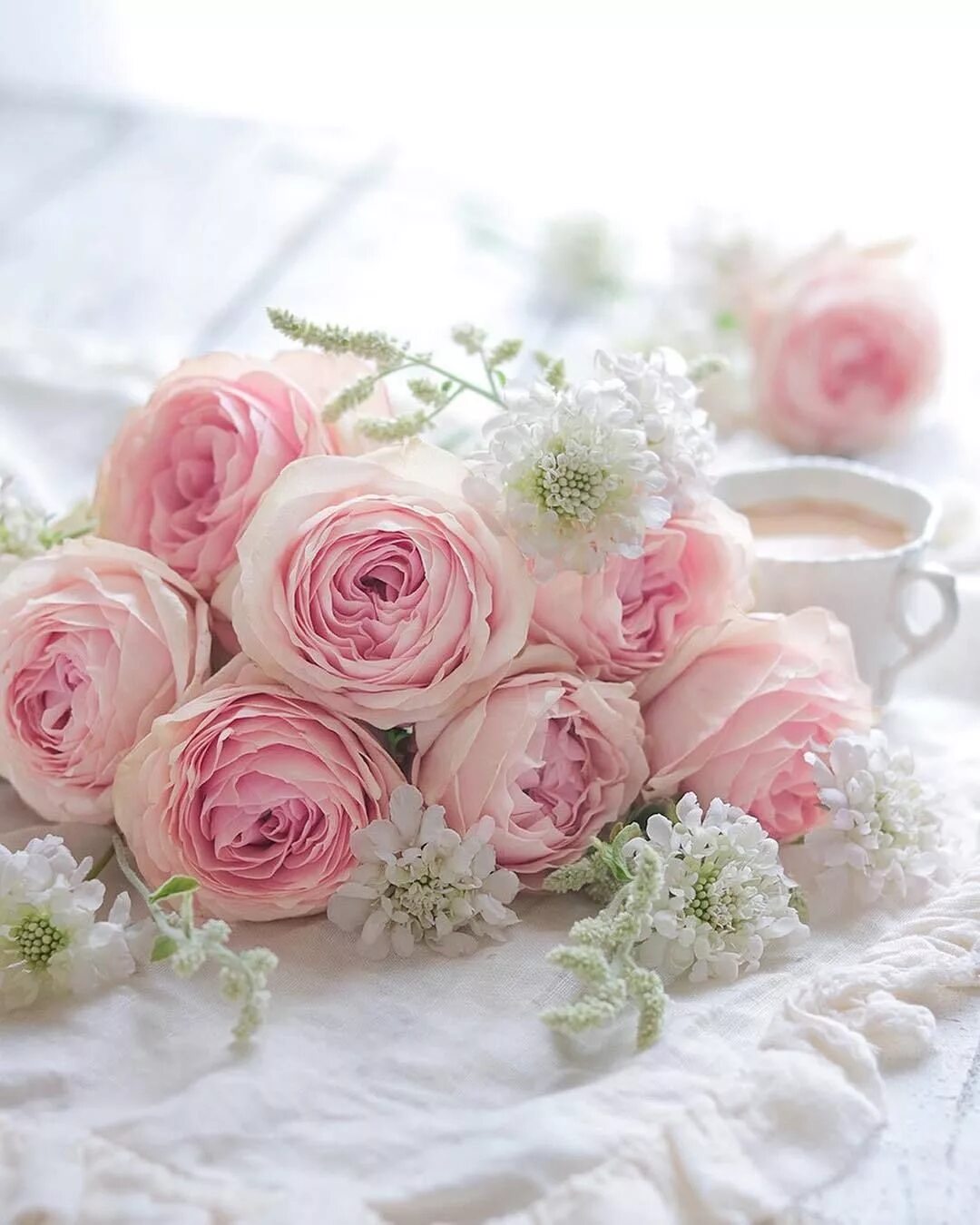 Доброе утро нежные картинки. Шебби цветы. Розы шебби. Стильные нежные розы. Утренняя нежная роза.