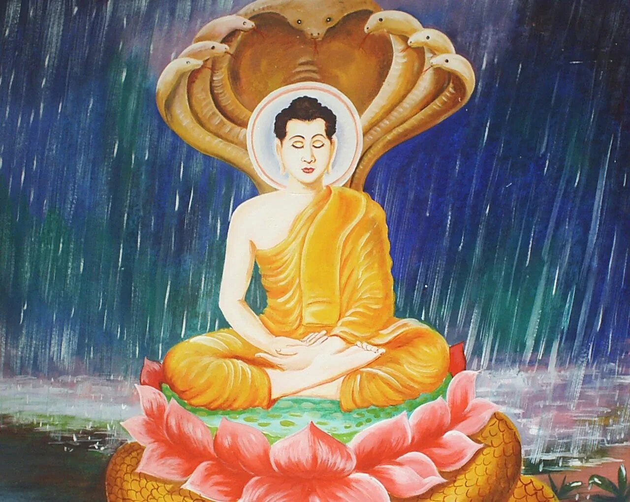 Буда гришна. Будда Шакьямуни аскеза. Будда Ананта Шеша. Будда нагов. Будда Шакьямуни тханка.
