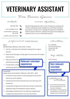 Experience examples