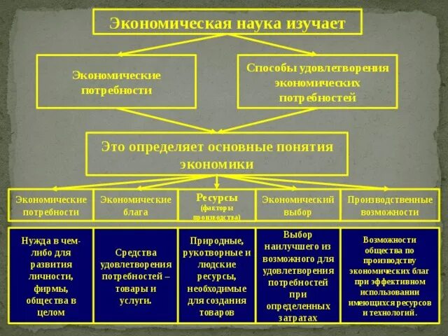 Экономические потребности. Экономическая наука. Экономическая наука изучает формы. Виды экономических потребностей.