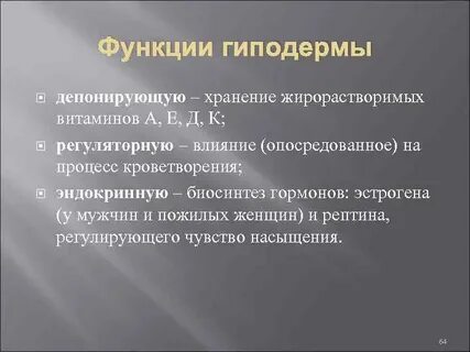 Гиподерма какая функция