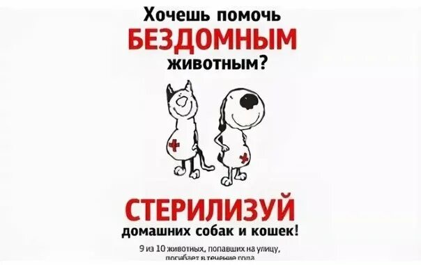 Стерилизуйте кошек. Стерилизуйте кошек. Хочу стерилизовать. Хочу стерилизовать. Стерилизация бездомных кошек.