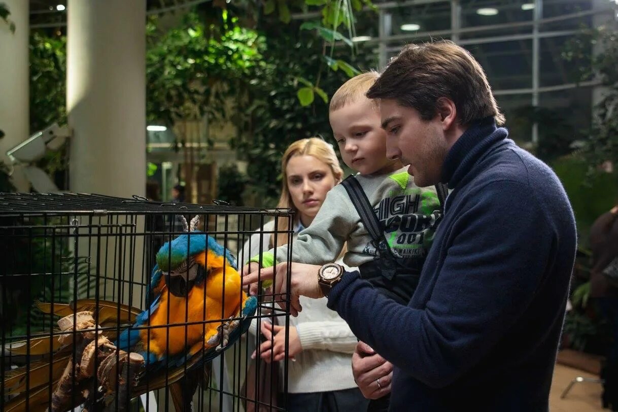 Чужой ребенок содержание чем закончится. Чужой ребенок содержание чем закончится. Чужой ребенок содержание чем закончится. След чужие дети. Чужой ребенок содержание чем закончится.