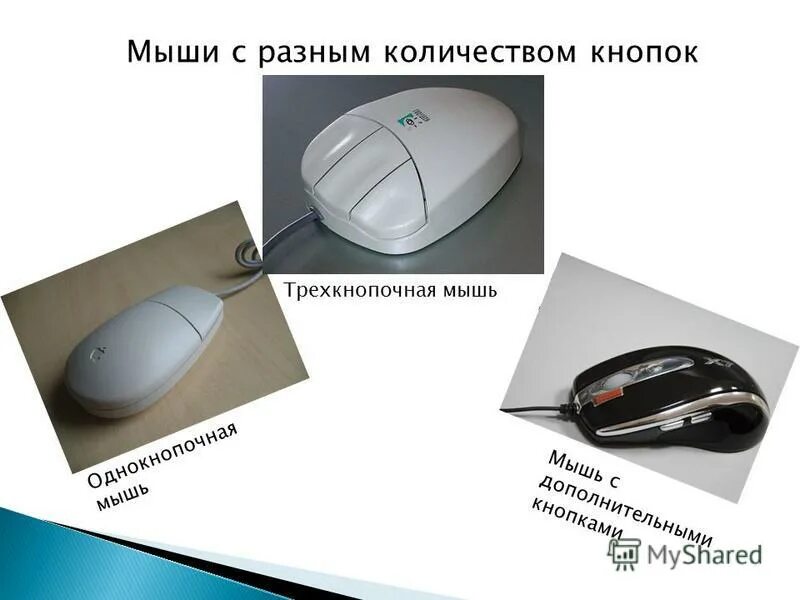 Устройства управления курсором. Мышка рисунок. Мышь. Формы компьютерных мышек. Gembird mus-6b-01.