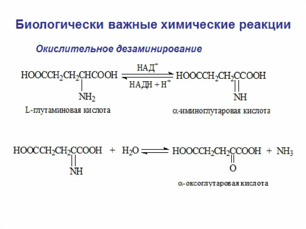 Окислительное восстановление реакции. Обратная реакция окисления. 3-Оксоглутаровая кислота. Представляет собой реакции окисления