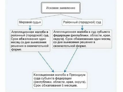 Срок обжалования решения в кассационной инстанции