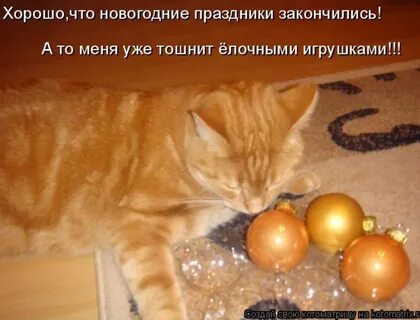 Конец праздника новый год