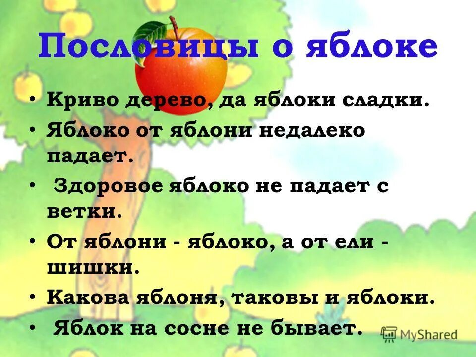 Пословица дерево в плодах. Пословицы и поговорки о яблоках. Пословицы прояблони. Пословицы про пословицы про яблоко. Пословицы про яблоки для детей.