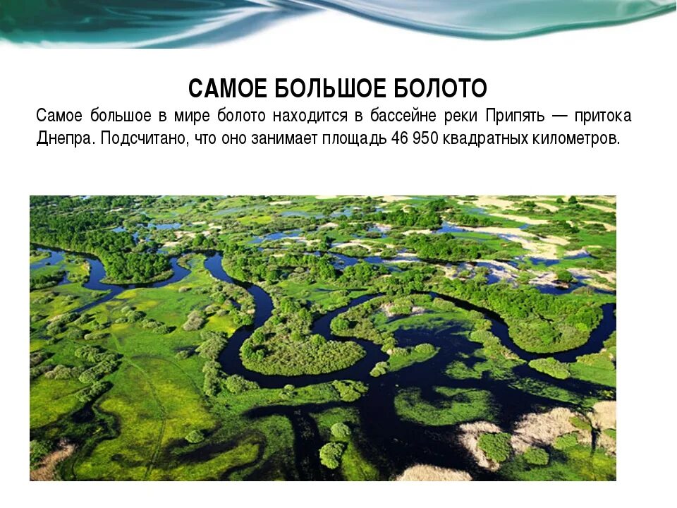 Какая река обладает самым большим бассейном