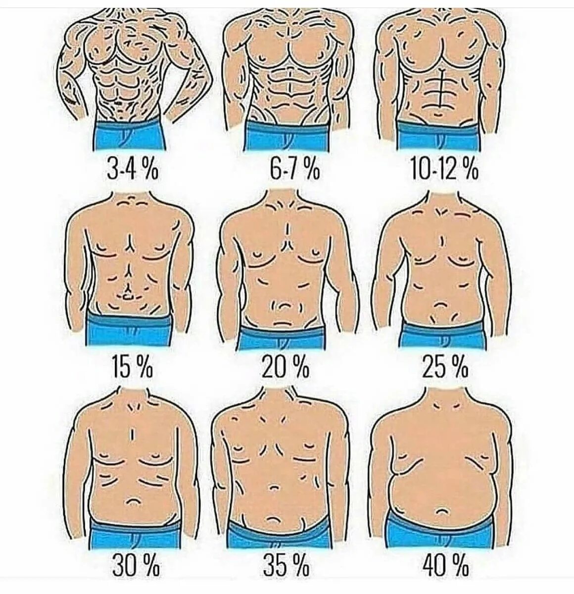 Виды животов у мужчин. Процент жира. Процент подкожного жира. Процент подкожного жира у мужчин.