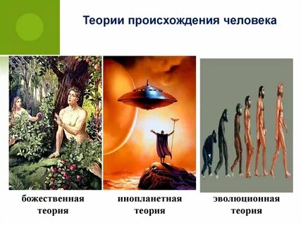 Появление человеческой жизни