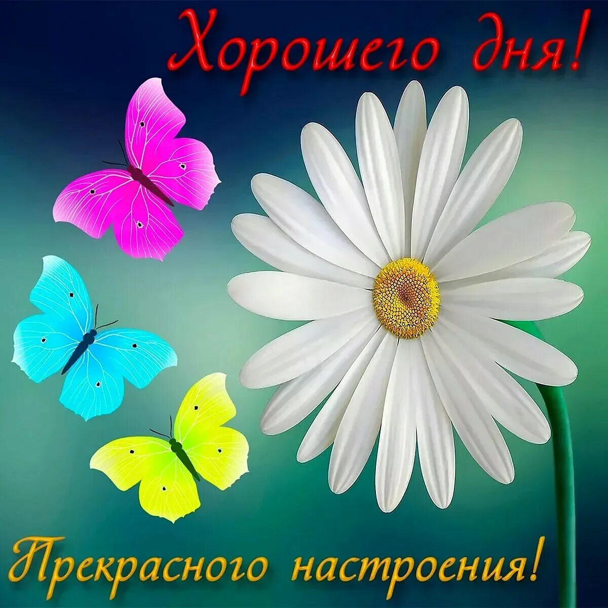 Найти пожелания хорошего дня. Хорошего дня и отличного настроения. хороший день. доброго дня и хорошего настроения. пожелания хорошего дня и отличного настроения.