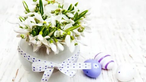 С днем рождения подснежники