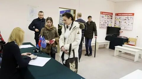 Зеленые голосование