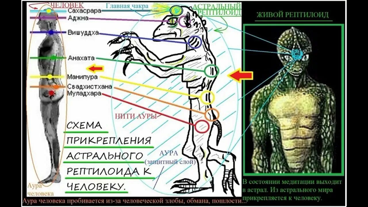 Схема прикрепления астрального рептилоида к человеку. Рептилоидные существа. Астральные рептилоиды. Привязка сущности