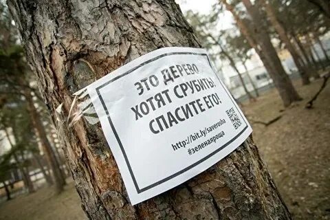 Просто парк