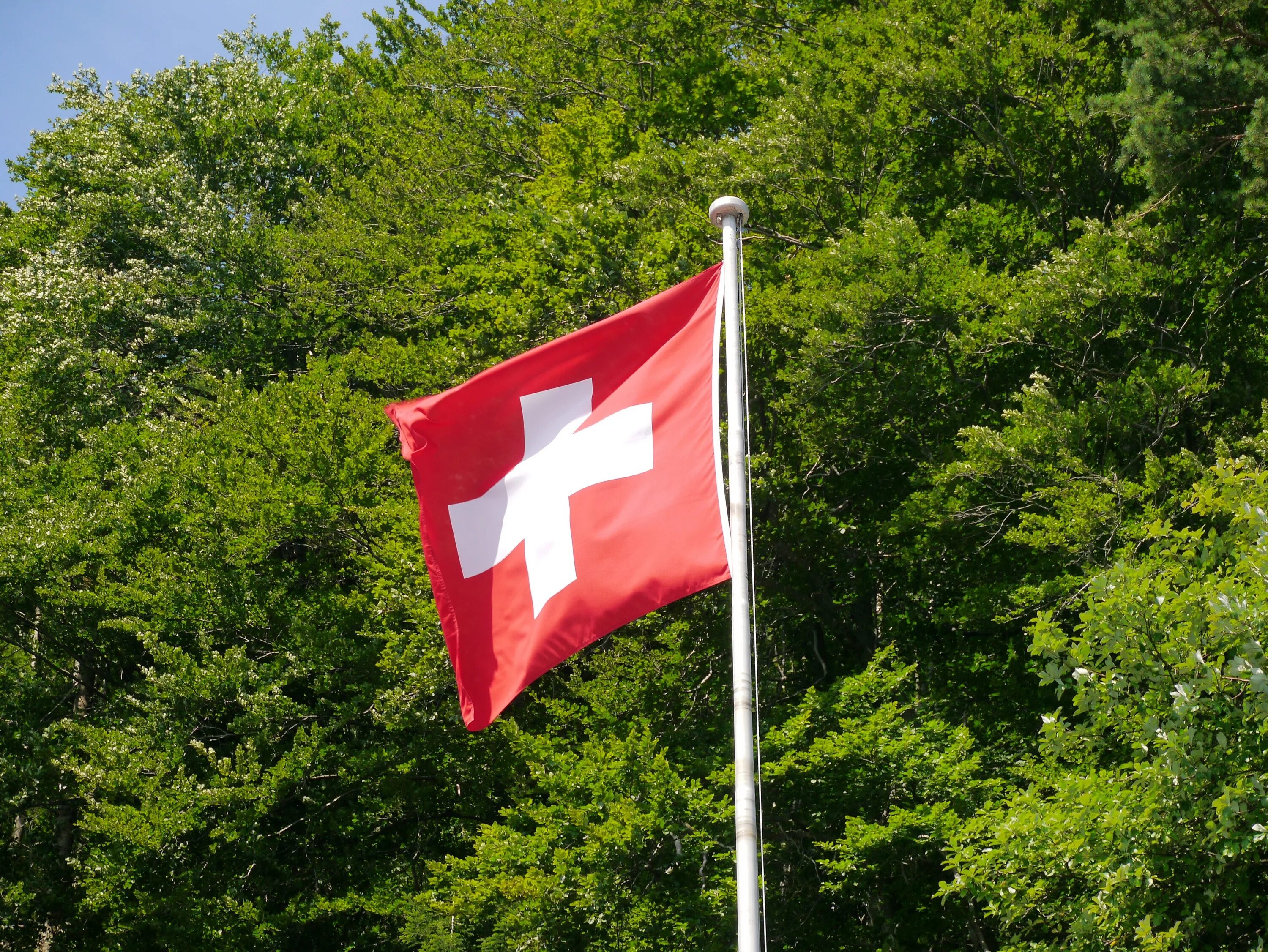 Flag 0