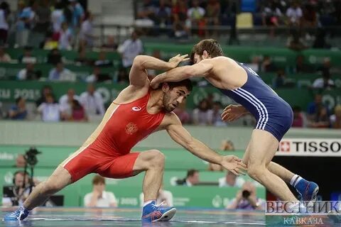 Сбс спорт прямая