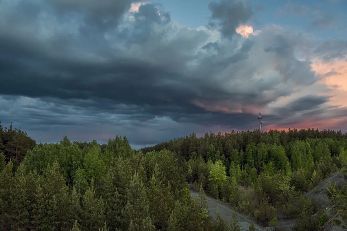 Тучи над лесом. Гроза в лесу. Пейзаж гроза. Мрачный закат. Сосновый бор болота.