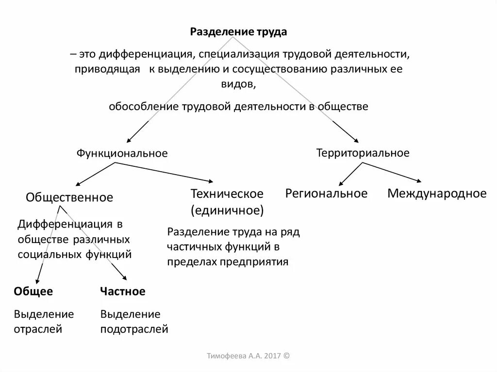 Дифференциация труда. Разделение труда дифференциация трудовой деятельности. Дифференциация видов труда. Основания дифференциации трудового законодательства.