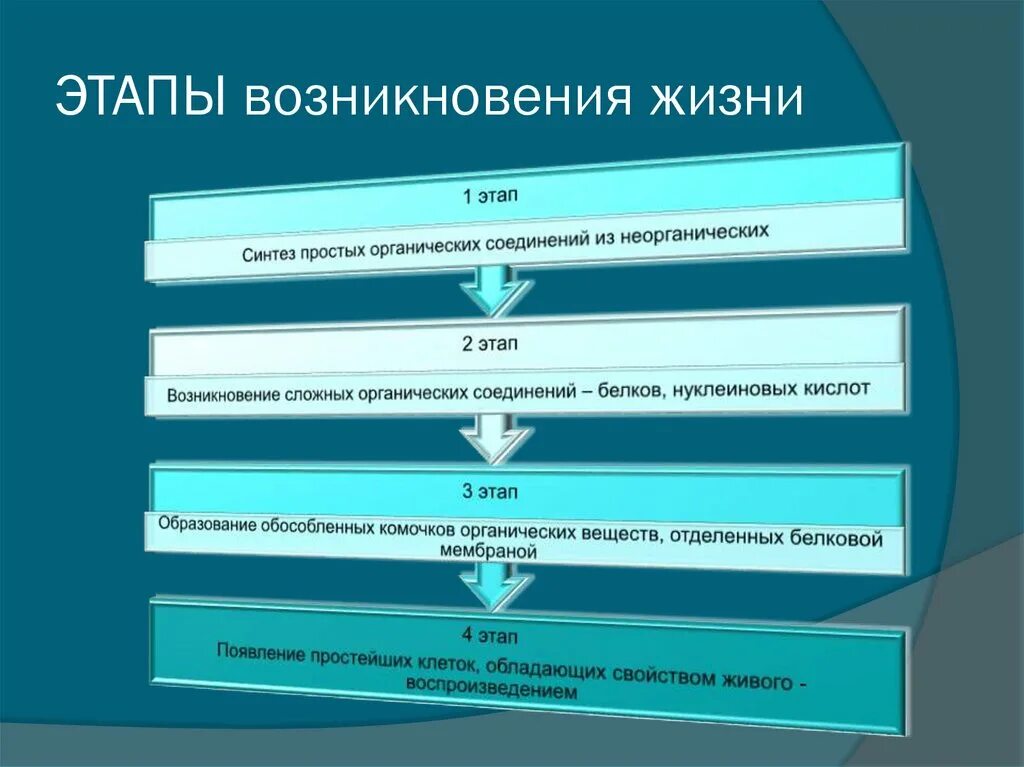 Тест этапы жизни на земле. Этапы возникновения жизни. Этапы происхождения жизни. Фазы зарождения жизни. Зарождение жизни стадии.