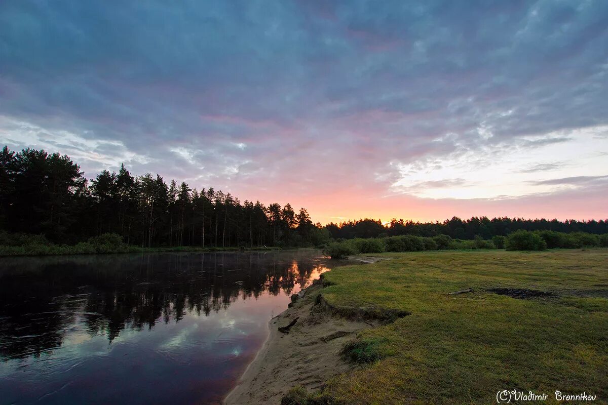 есть в мещерском крае. мещерский лес рязань. национальный парк мещера гусь-хрустальный. национальный парк мещера гусь-хрустальный. нацпарк мещера клепики.