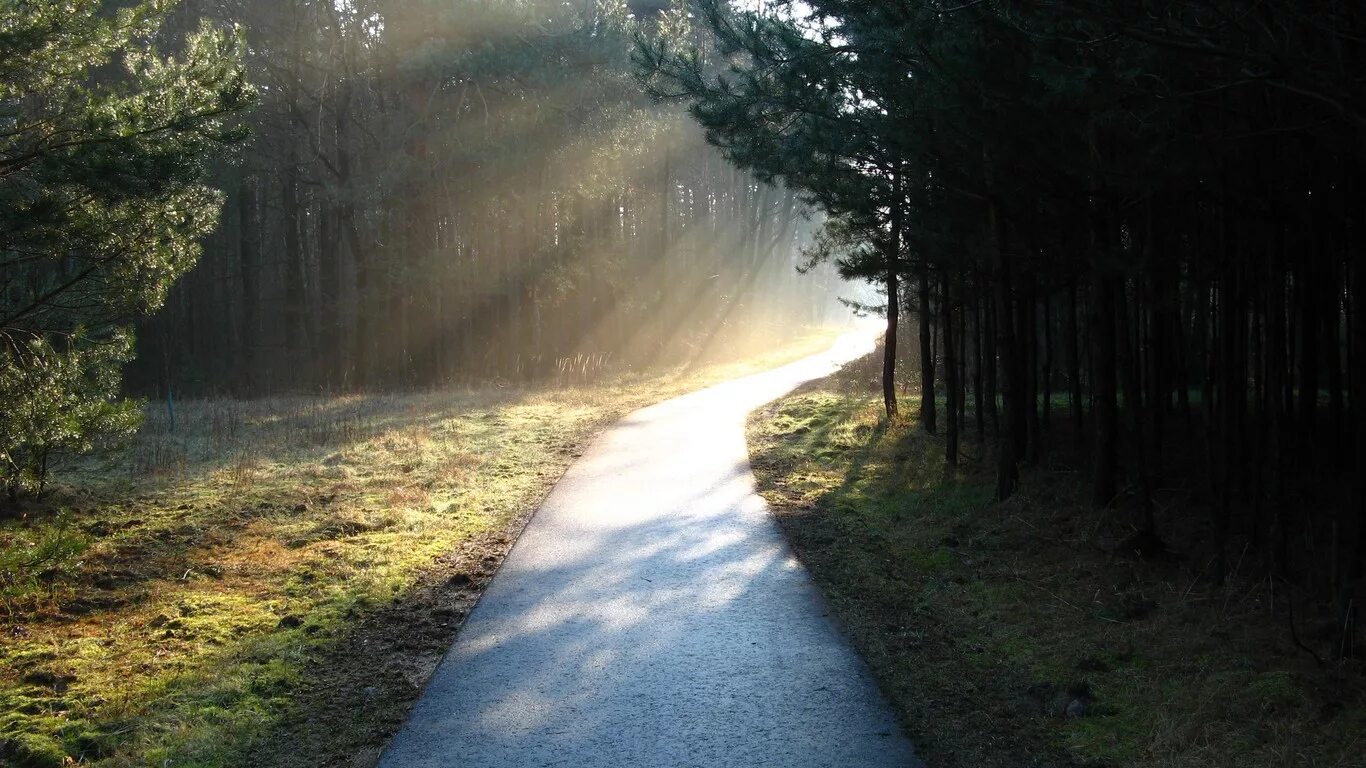 Светла дорога песня. Светлая дорога. Тропинка к Богу. Дорога тропинка. Дорога в лесу.