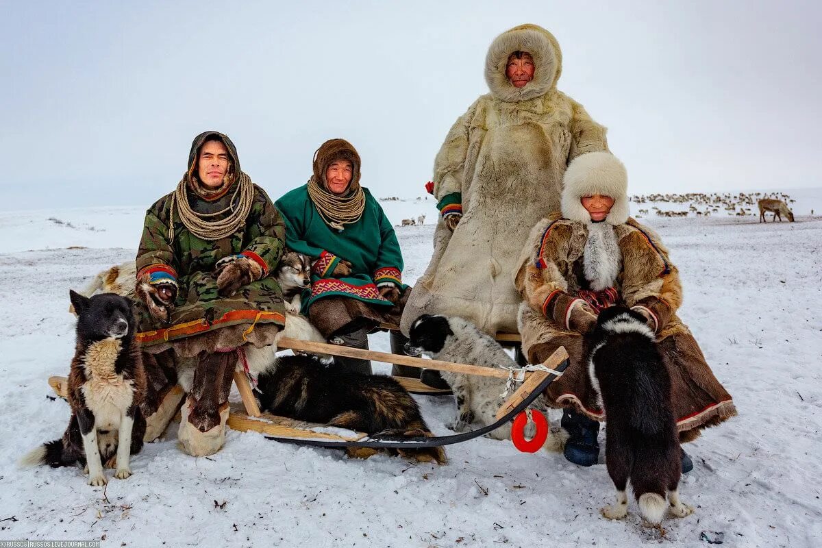 Человек народов севера