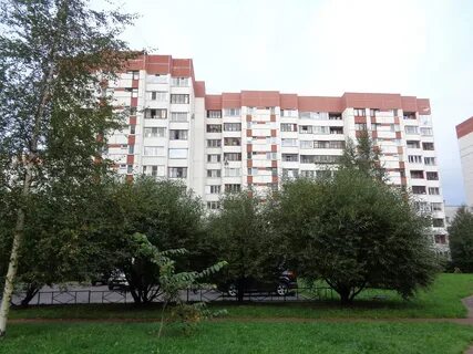 42 корп