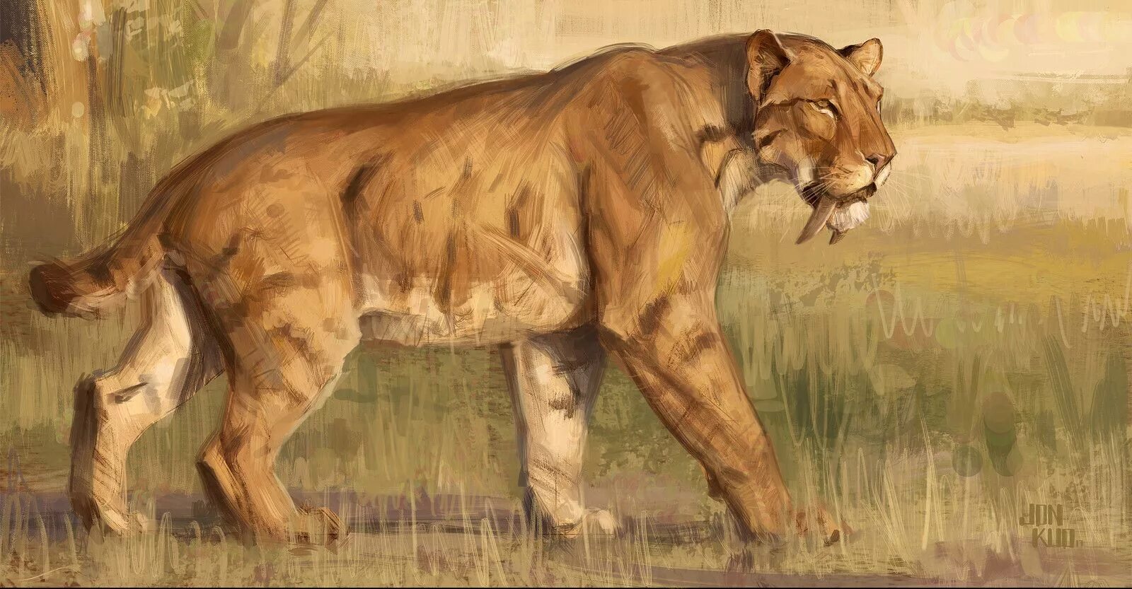 Smilodon. Саблезубые тигры Смилодоны. Cмилодон (Саблезубый тигр). Тигр Смилодон. Махайрод Смилодон.