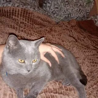 Ищем для вязки