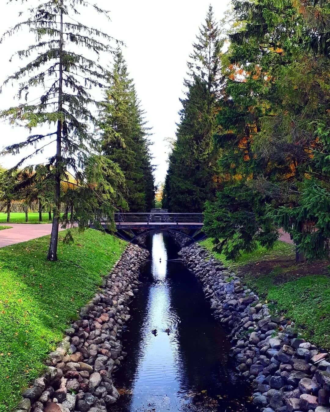 руинный мост александрия в петергофе. крепость копорье ленинградская область. гатчина парк ноябрь. храм андрея первозванного. где погулять в ленинградской.