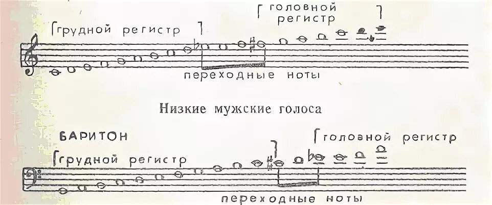 Диапазон баритона и переходные Ноты. Переходные Ноты по голосам. Переходные Ноты у мужских голосов. Диапазоны вокальных голосов.