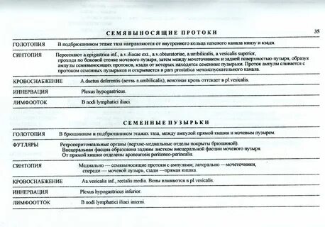 Синтопия мочевого пузыря