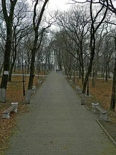 Парки владивостока для прогулок