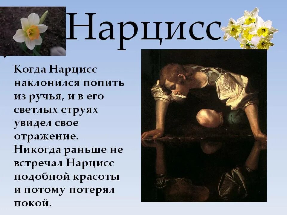 Нарцисс личность. Психологическое понятие нарцисс. Нарцисс это простыми словами мужчина. Нарцисс это простыми словами мужчина. Нарцисс личность.