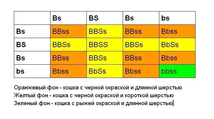 Ген короткой шерсти а у кошек доминирует. Таблица Пеннета. Решетка Пеннета Тригибридное скрещивание. У кошек ген черной окраски b доминирует над геном рыжей окраски b. Решетка Пеннета.