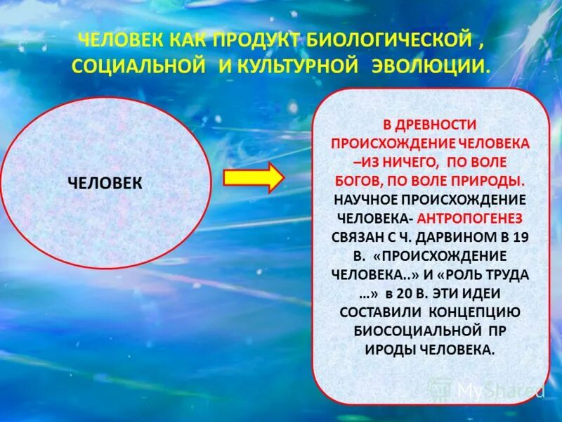 Культура эволюции человека. Человек как продукт биологической и социальной эволюции. Человек продукт социальной эволюции.. Человек как продукт социальной и культурной эволюции. Человек как продукт социальной эволюции кратко.