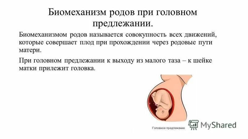 биомеханизм родов при затылочном предлежании таблица. передний вид затылочного предлежания биомеханизм родов. биомеханизм родов при головном. биомеханизм родов этапы. биомеханизм родов при заднем виде затылочного предлежания плода.