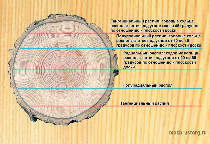 тангенциальный распил древесины. радиальный и тангенциальный распил древесины отличия. тангенциальный распил древесины. распил дерева тангенциальный и радиальный. тангенциальный распил древесины.