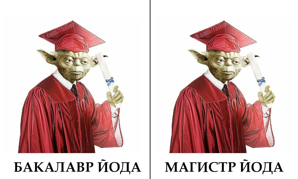 Закончила второй курс