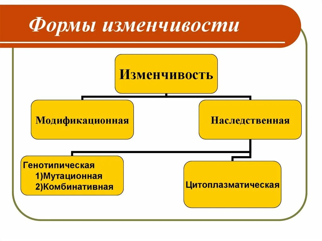 Наследственная комбинативная и мутационная. Модификационная мутационная комбинативная изменчивость таблица. Формы комбинативной изменчивости. Формы изменчивости биология. Наследственная изменчивость комбинативная и мутационная.