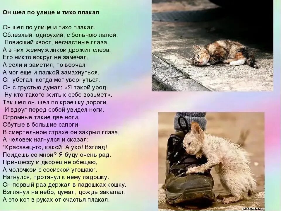 Осенняя грусть. И тихо дрожат. Снежинки на ресницах. Слезы души. Женщина дождя.