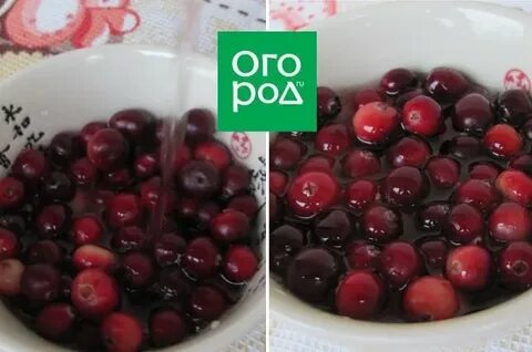 Клюква что приготовить