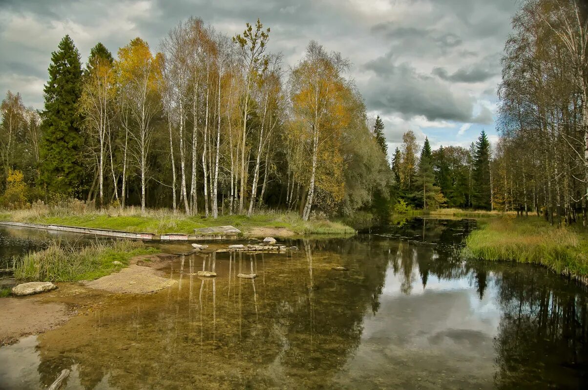 Прогноз погоды сиверский гатчинский. Осень в Сиверской. Сиверский осенью. Фотохудожники Подмосковья пейзажи. Гатчинский район природа.