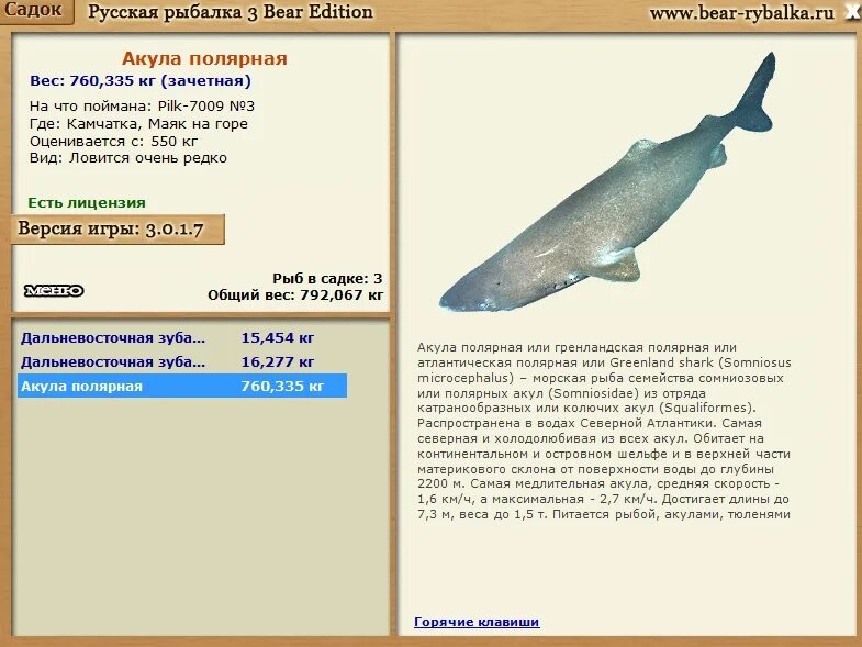 Акула русская рыбалка. Акула Полярная русская рыбалка. Гренландская Полярная акула. Акула гренландская Полярная вес. Вес среднестатистической акулы.