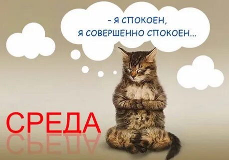 Среда картинки прикольные с надписями доброе