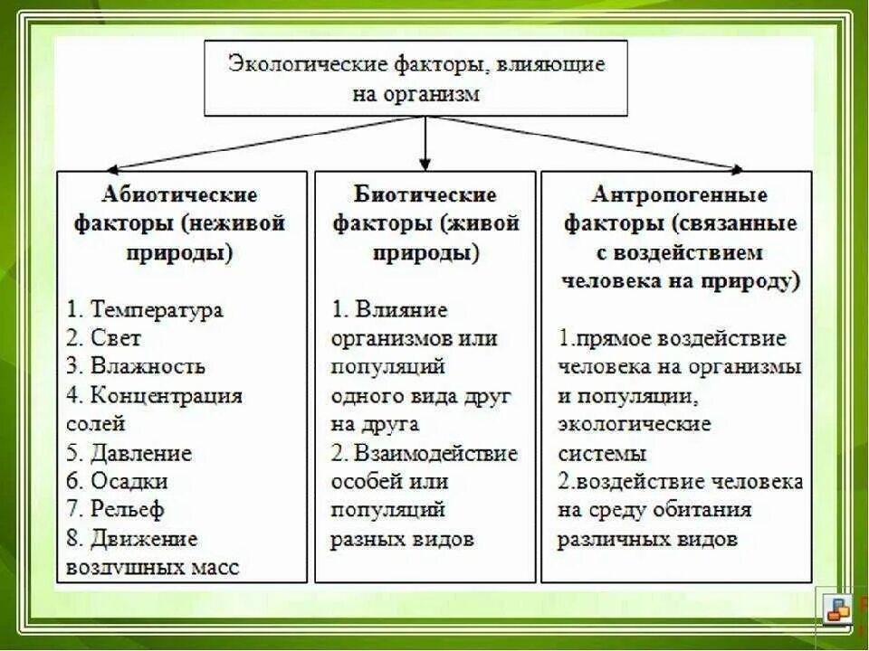 3 примера абиотических