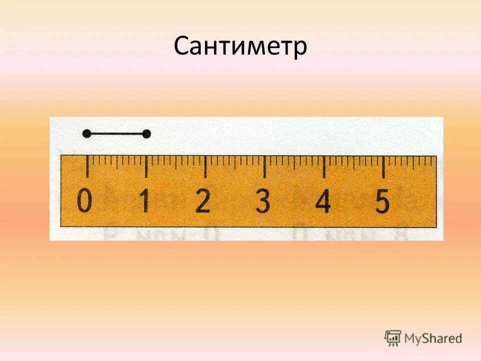 См первым. Сантиметр см. Сантиметр для детей 1 класс. Что измеряют в сантиметрах. В одном см.