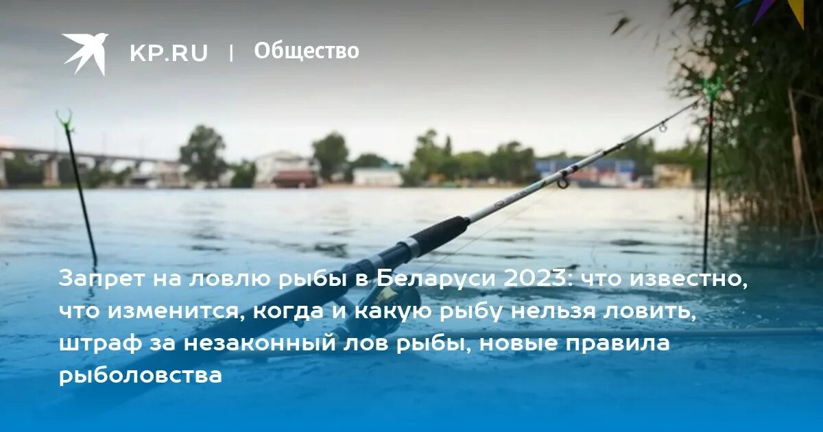 Запрет на ловлю в белоруссии. Запрет на ловлю рыбы в 2023 году. Штрафы на вылов рыбы 2023. Новые правила рыболовства. Весенний запрет рыбалки на Дону.